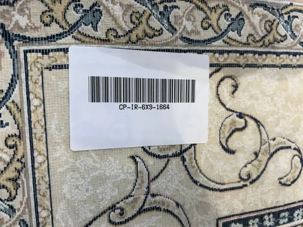 Farzin_Iranian_Carpet_Rug_6x9