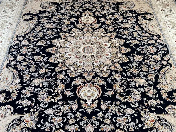 Delnavaz_Iranian_Carpet_Rug_10x13