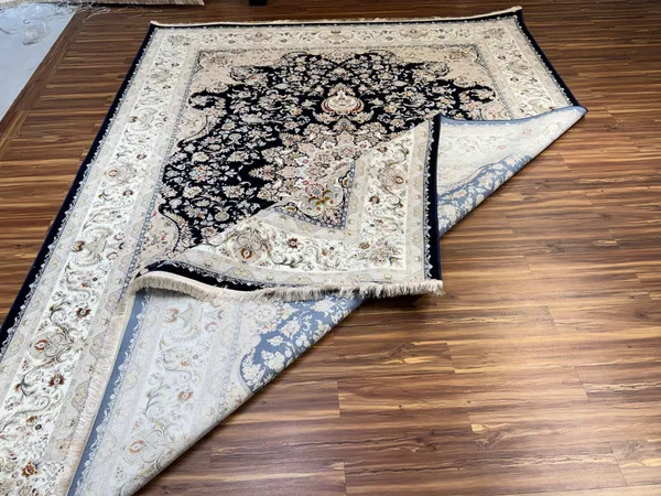 Delnavaz_Iranian_Carpet_Rug_10x13