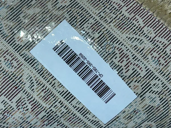 Dolana_Persian_Carpet_Rug_3x5