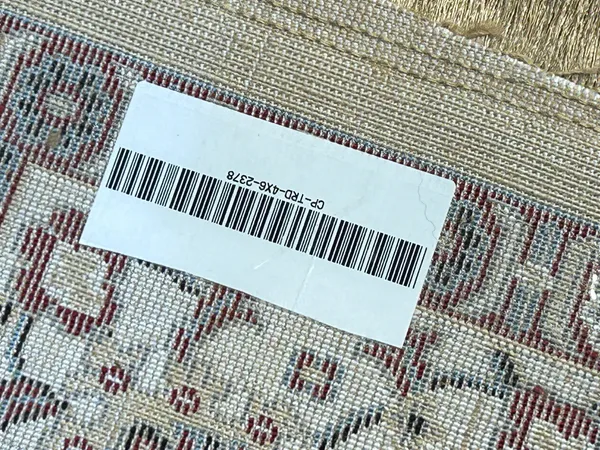 Anisa_Persian_Carpet_Rug_4x6