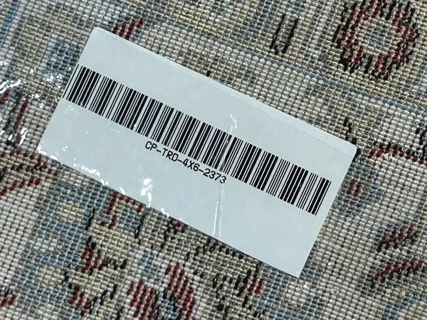 Cyrus_Persian_Carpet_Rug_4x6