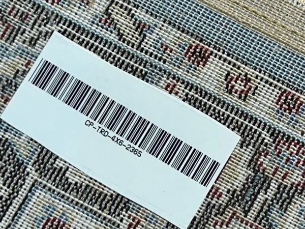 Farin_Persian_Carpet_Rug_4x6