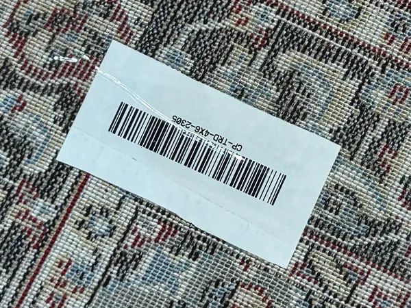 Kamran_Persian_Carpet_Rug_4x6