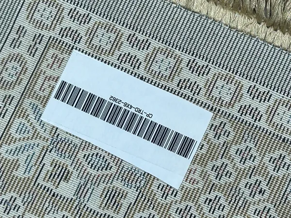 Simin_Persian_Carpet_Rug_4x6