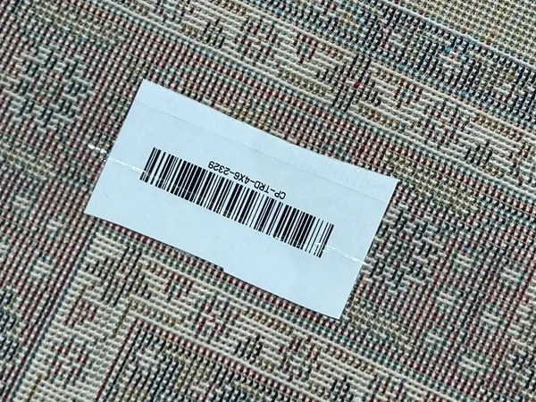 Nastaran_Persian_Carpet_Rug_4x6