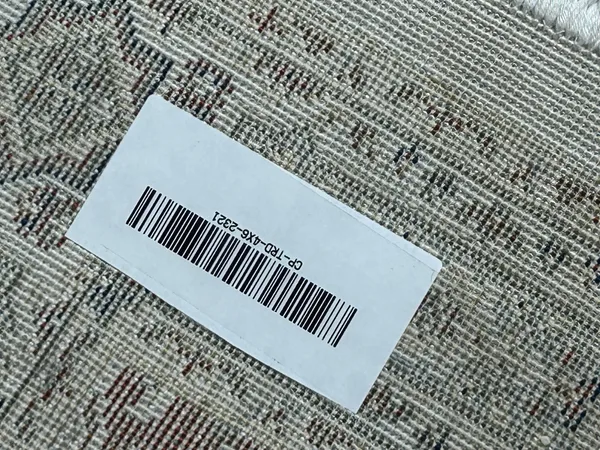 Sarina_Persian_Carpet_Rug_4x6