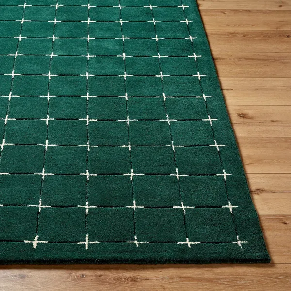 Regal_Prime_Hand_Tufted_Carpet_Rug