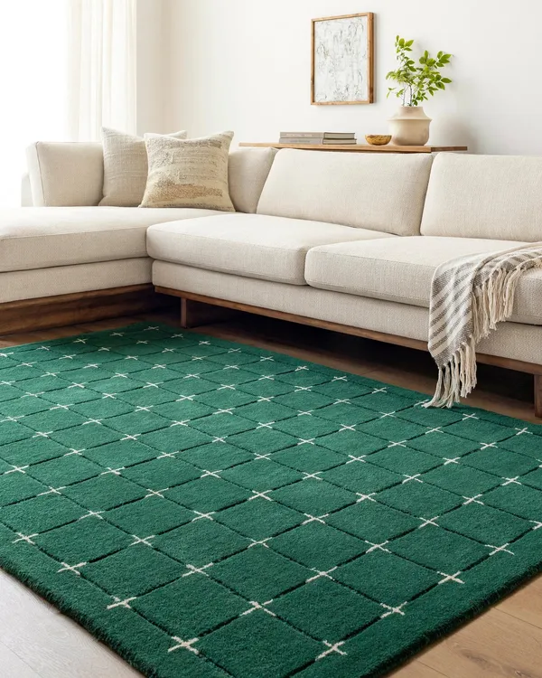 Regal_Prime_Hand_Tufted_Carpet_Rug