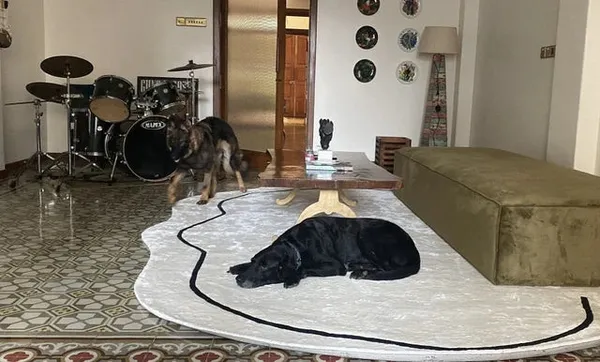 Mira_Irregular_Hand_Tufted_Carpet_Rug