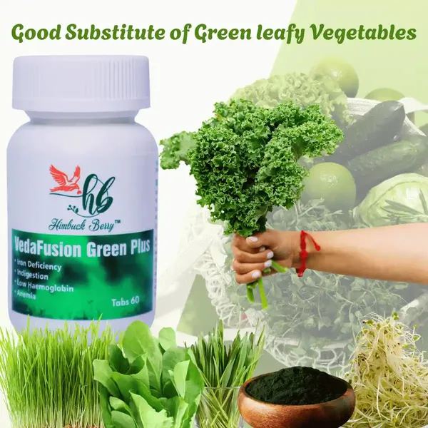 Veda_Green_Plus_Wheat_Grass_Spirulina_Alfalfa_Tablets_60