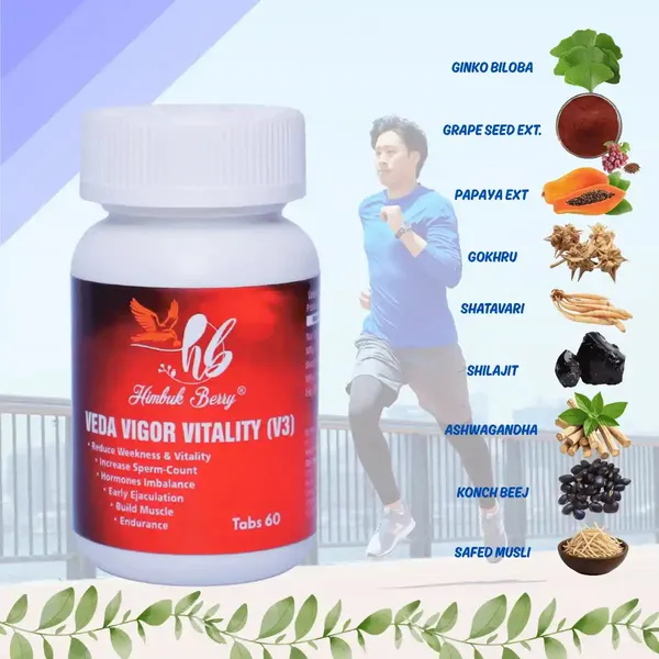 Veda_Vigor_V3_Ashwagandha_Shilajit_Ginseng_Vitality_Tablets_60