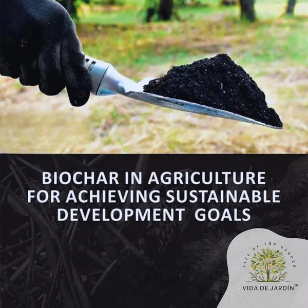 Vida_De_Jardin_Biochar_Premium_Organic_Charcoal_Amendment_for_Soil_Enrichment_and_Plant_Vitality_-_Sustainably_Sourced_Biochar_for_Improved_Nutrient_Retention_and_Microbial_Activity_|_900_Grams