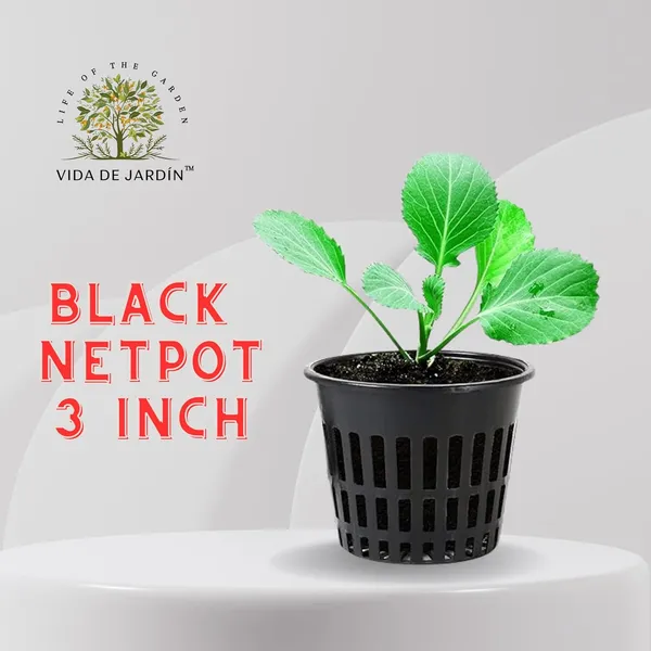 Vida_De_Jardin_Black_Net_Cups_Slotted_Mesh_Wide_Lip_Heavy_Duty_Filter_Plant_Net_Pot_Bucket_Basket_for_Hydroponics_|_3_Inche_(Modern,_40,_Piece)