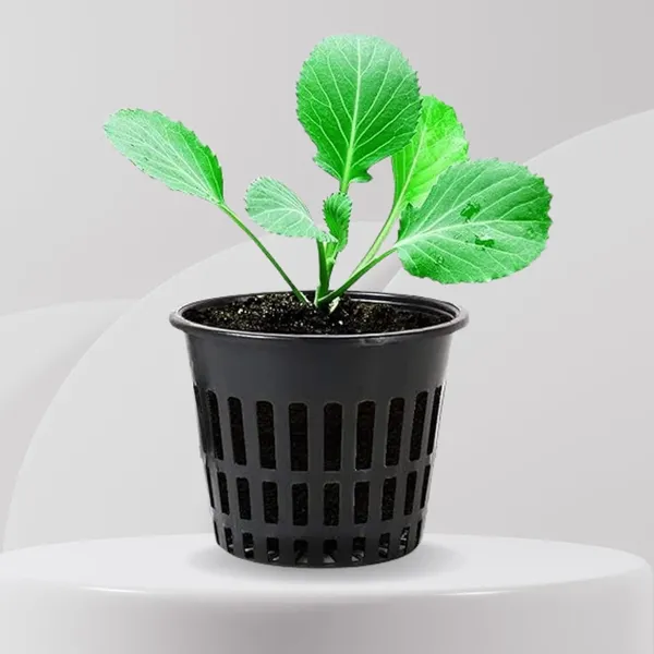 Vida_De_Jardin_Black_Net_Cups_Slotted_Mesh_Wide_Lip_Heavy_Duty_Filter_Plant_Net_Pot_Bucket_Basket_for_Hydroponics_|_3_Inche_(Modern,_40,_Piece)