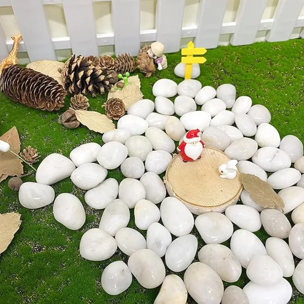 Vida_De_Jardin_Polished_White_Pebbles_Stones_for_Plant_pots,_Aquarium/Fish_Tank,_Decorations,_Garden,_Tables,_and_Home_Decor_(500g,_White_Stone)