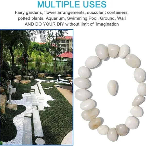 Vida_De_Jardin_Polished_White_Pebbles_Stones_for_Plant_pots,_Aquarium/Fish_Tank,_Decorations,_Garden,_Tables,_and_Home_Decor_(500g,_White_Stone)