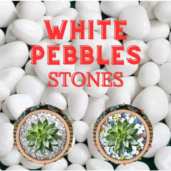 Vida_De_Jardin_Polished_White_Pebbles_Stones_for_Plant_pots,_Aquarium/Fish_Tank,_Decorations,_Garden,_Tables,_and_Home_Decor_(500g,_White_Stone)
