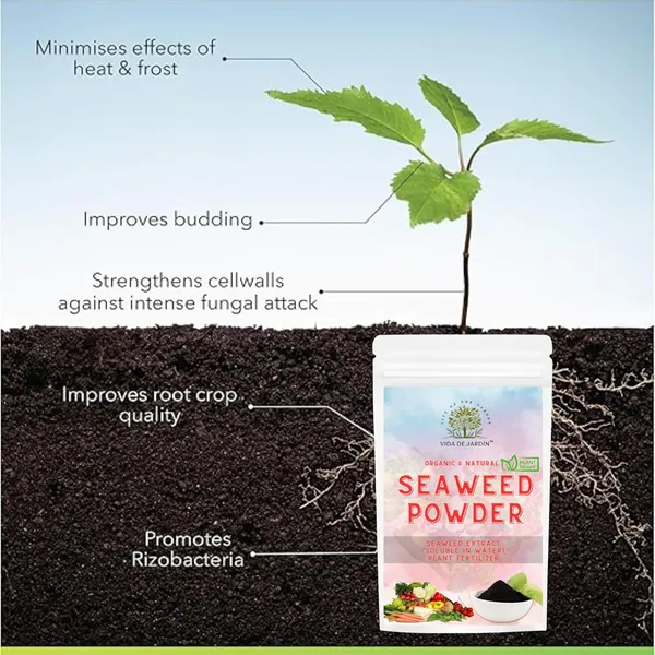 Vida_de_Jardin_Organic_and_Natural_Seaweed_Powder,_Plant_Fertilizer,_Soluble_in_Water_|_100_Grams