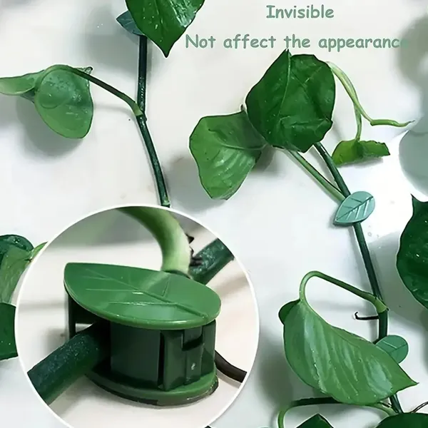 Vida_De_Jardin_Plant_Climbing_Wall_Fixture_Clip_Green_Plant_Clip_Garden_Wall_Clip_Plant_Support_Binding_Clip_Plants_for_Indoor_Outdoor_Decoration_(10_Pcs_Set)