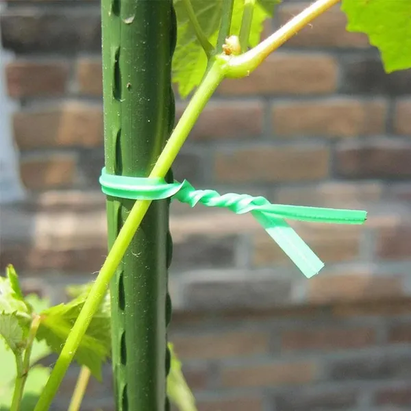 Vida_De_Jardin_Twist_Tie_Wire_-_Pack_of_2_|_50m_Long_|_Build_in_Cutter_Ideal_for_Plants_Support_|_Easy_to_Use_|_Versatile_Usage