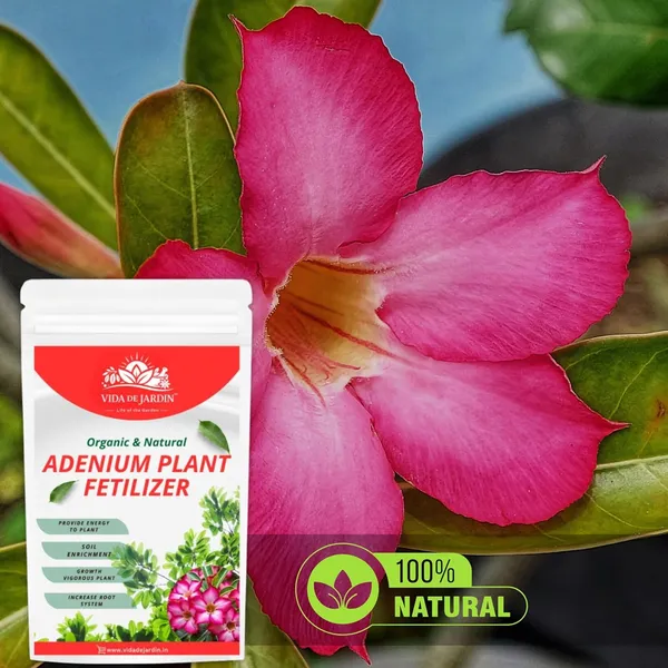 Vida_de_Jardin_Organic_&_Natural_Adenium_Plant_Fertilizer,_Vigorous_Growth,_Increase_Root_System,_Provide_Energy,_Soil_Enrichment_|_900_Grams