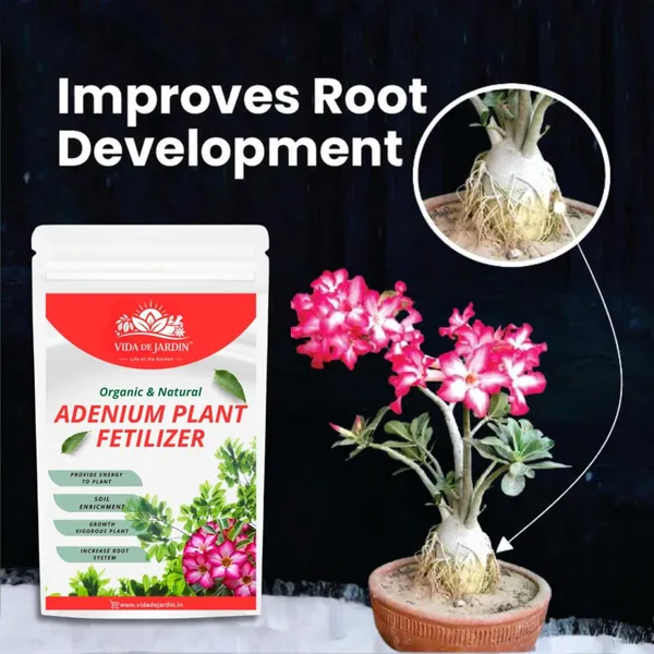 Vida_de_Jardin_Organic_&_Natural_Adenium_Plant_Fertilizer,_Vigorous_Growth,_Increase_Root_System,_Provide_Energy,_Soil_Enrichment_|_900_Grams