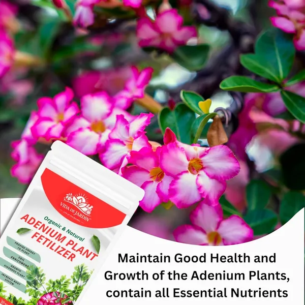 Vida_de_Jardin_Organic_&_Natural_Adenium_Plant_Fertilizer,_Vigorous_Growth,_Increase_Root_System,_Provide_Energy,_Soil_Enrichment_|_900_Grams