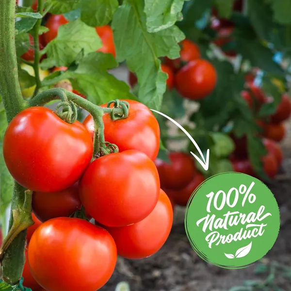 Vida_De_Jardin_Tomato_Food_Essential_Organic_Fertilizer_Vegetable_&_Herb_|_Ideal_for_Home,_Balcony,_Terrace_&_Outdoor_Gardening_|_900_Grams