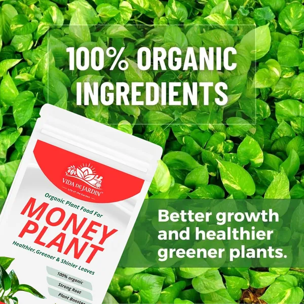 Vida_De_Jardin_Money_Plant_Essential_Organic_Plant_Food_Powder,_Heathier_Greener_And_Shinier_Leaves_For_Indoor_And_Outdoor_Gardening_(900_gram)