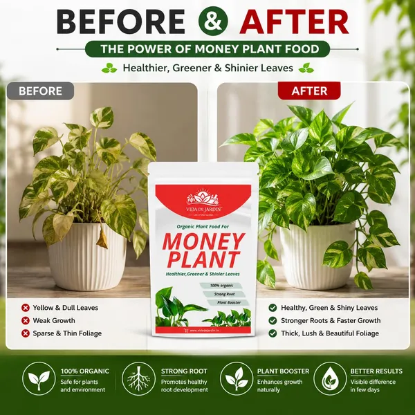 Vida_De_Jardin_Money_Plant_Essential_Organic_Plant_Food_Powder,_Heathier_Greener_And_Shinier_Leaves_For_Indoor_And_Outdoor_Gardening_(900_gram)