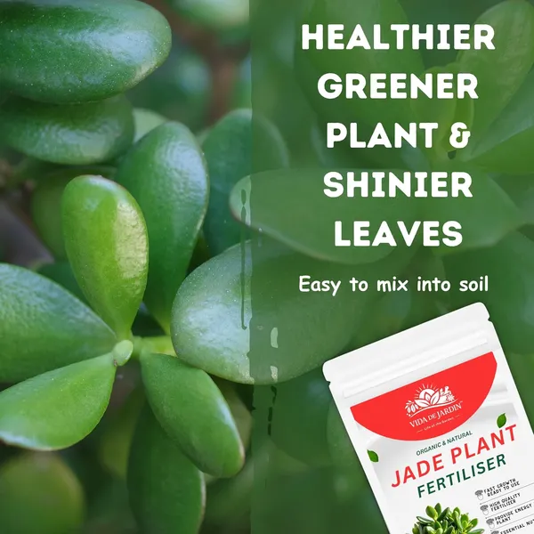 Vida_de_Jardin_Organic_and_Natural_Jade_Plant_Fertilizer,_Fast_Growth,_Ready_to_Use_&_Jade_Good_Luck_Feng_Shui_Plant_Booster_|_900_Grams