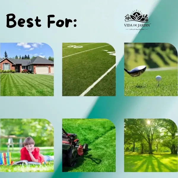 Vida_de_Jardin_Organic_Lawn_Booster,_100%_Pure_and_Natural_Lawn_Booster,_Lawn_Growth,_All_Season_Lawn_Food_(900_Grams)