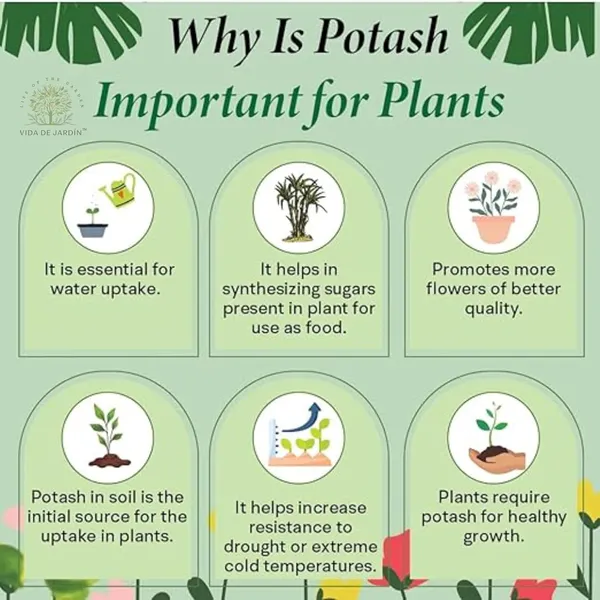 Vida_de_Jardin_Organic_and_Natural_Potash_Granules_for_Gardening,_Increases_Flowers,_Fruits_Size,_Improves_Root_Development_and_Plant_Metabolism_(900_grams)