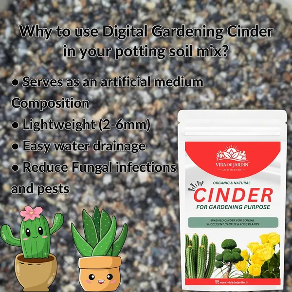 Vida_De_Jardin_Washed_Cinder_for_Gardening_|_Natural_Soil_Conditioner_for_Bonsai,_Succulents,_Cactus_and_Roses_|_Improves_Drainage_and_Aeration_for_Plants_|_900_G