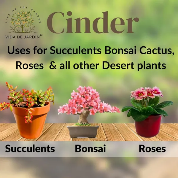 Vida_De_Jardin_Washed_Cinder_for_Gardening_|_Natural_Soil_Conditioner_for_Bonsai,_Succulents,_Cactus_and_Roses_|_Improves_Drainage_and_Aeration_for_Plants_|_900_G