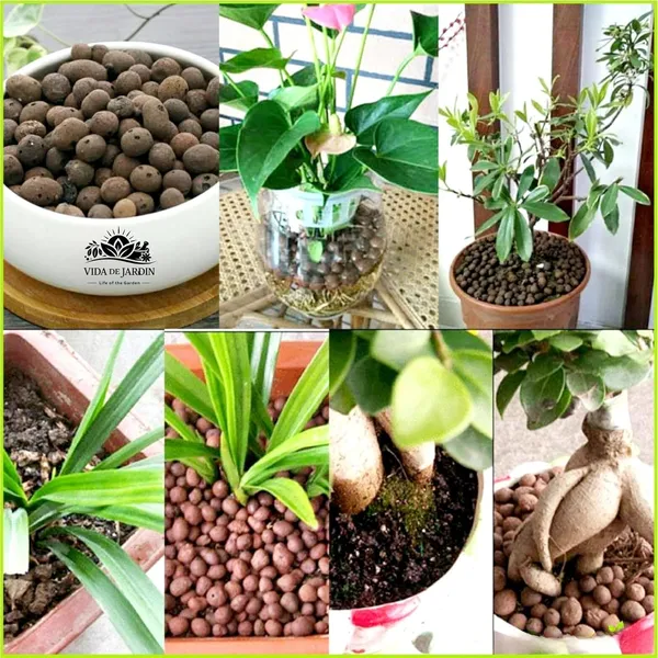 Vida_de_Jardin_Clay_Balls,_Hydrotons,_Lightweight_Expanded_Clay_Aggregate_Leca_(Fly_Ash)_for_Hydroponics,_Aeroponics&_Aquaponics_800g_:_Approx._3-4_Litre