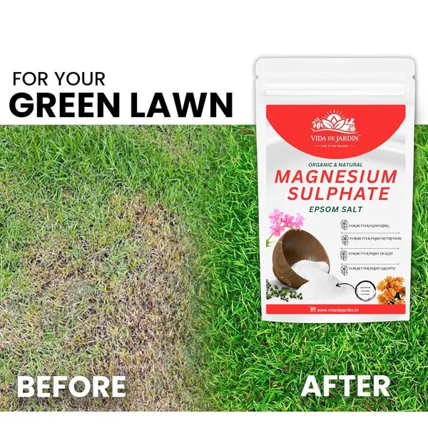 Vida_De_Jardin_Magnesium_Sulphate,_Epsom_Salt_for_Plant_Growth,_Flowering_and_Nutrition_|_900_grams