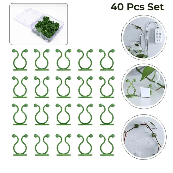Plant_Climbing_Wall_Clips_|_Self_Adhesive_Support_for_Money_Plant,_Creepers_and_Climbers_|_Plant_Clips_for_Climbers_Plant_Wall_Clips_Plant_Support_|_(30)