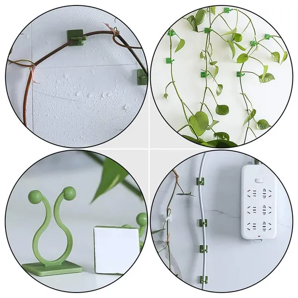 Plant_Climbing_Wall_Clips_|_Self_Adhesive_Support_for_Money_Plant,_Creepers_and_Climbers_|_Plant_Clips_for_Climbers_Plant_Wall_Clips_Plant_Support_|_(30)