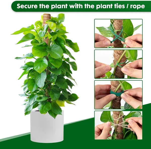VIDA_DE_JARDIN_Natural_Moss_Stick_for_Climbing_Plants,_Strong_Support_for_Money_Plant,_Monstera,_Pothos,_Indoor_Outdoor_Use,_Manual,_50_Grams_(4,_3_Feet)