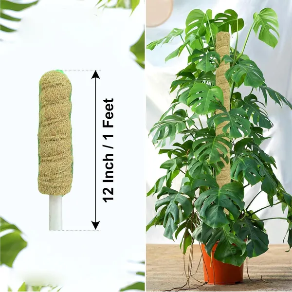 VIDA_DE_JARDIN_Natural_Moss_Stick_for_Climbing_Plants,_Strong_Support_for_Money_Plant,_Monstera,_Pothos,_Indoor_Outdoor_Use,_Manual,_50_Grams_(4,_3_Feet)