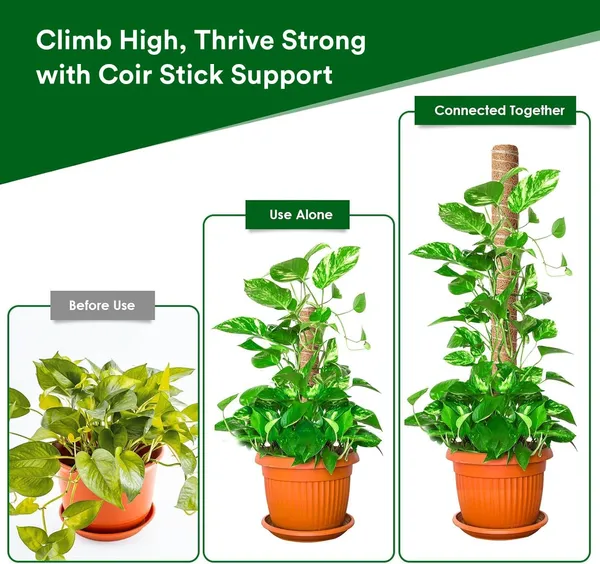 VIDA_DE_JARDIN_Natural_Moss_Stick_for_Climbing_Plants,_Strong_Support_for_Money_Plant,_Monstera,_Pothos,_Indoor_Outdoor_Use,_Manual,_50_Grams_(4,_3_Feet)