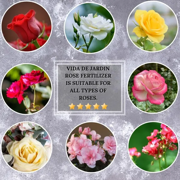 VIDA_DE_JARDIN_Special_Rose_Booster_Fertiliser_|_Organic_Rose_Booster_for_More_Blooms_and_Strong_Root_of_Plants_(900_Gram)