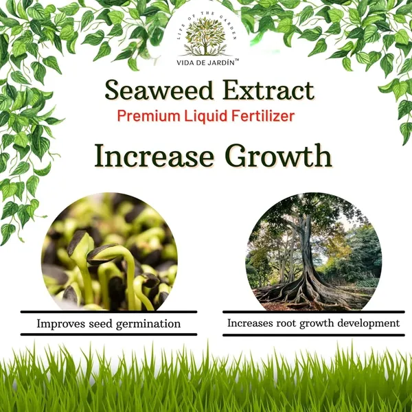 VIDA_DE_JARDIN_Seaweed_Liquid_Fertilizer_for_Plants_|_Organic_Plant_Growth_Booster_|_Improves_Root_Development,_Enhances_Nutrient_Uptake_&_Supports_Healthy_Growth_|_Suitable_for_Flowers_(500ml)