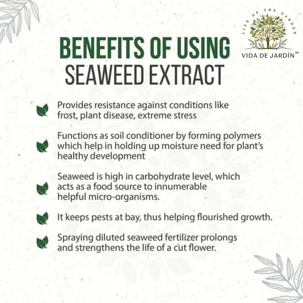 VIDA_DE_JARDIN_Seaweed_Liquid_Fertilizer_for_Plants_|_Organic_Plant_Growth_Booster_|_Improves_Root_Development,_Enhances_Nutrient_Uptake_&_Supports_Healthy_Growth_|_Suitable_for_Flowers_(500ml)