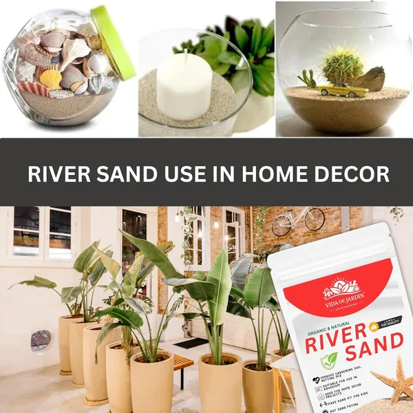 Amazon_Natural_River_Sand_|_Aquarium_Sand_Substrate_|_Pure_Organic_Plants_Soil_Mix_Additive_Adenium_Cactus_Succulent_Bonsai_|_Use_in_Havan_Pujan_|_Home_Decor_|_Crafts_|_(5_Kg)