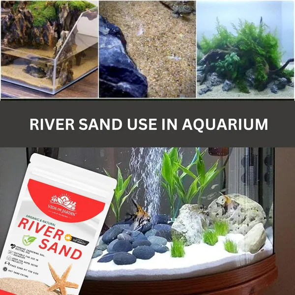Amazon_Natural_River_Sand_|_Aquarium_Sand_Substrate_|_Pure_Organic_Plants_Soil_Mix_Additive_Adenium_Cactus_Succulent_Bonsai_|_Use_in_Havan_Pujan_|_Home_Decor_|_Crafts_|_(5_Kg)