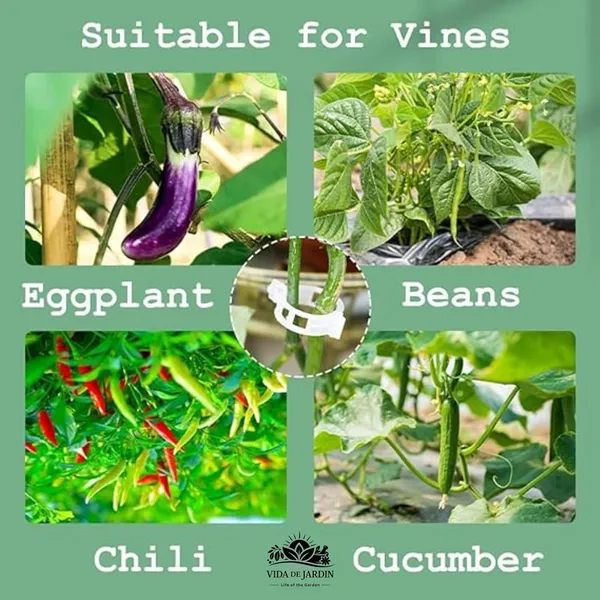 VIDA_DE_JARDIN_Plant_Support_Garden_Clips_|_Trellis_Clips_for_Tomato_Vine_Vegetables_Beans_Fruits_and_Flowers_|_Durable_Garden_Accessories_to_Help_Plants_Grow_Upright_(Pack_of_100)