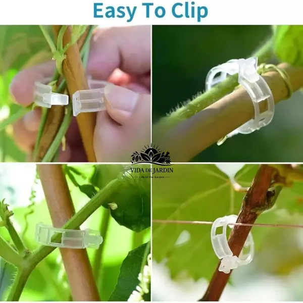 VIDA_DE_JARDIN_Plant_Support_Garden_Clips_|_Trellis_Clips_for_Tomato_Vine_Vegetables_Beans_Fruits_and_Flowers_|_Durable_Garden_Accessories_to_Help_Plants_Grow_Upright_(Pack_of_100)